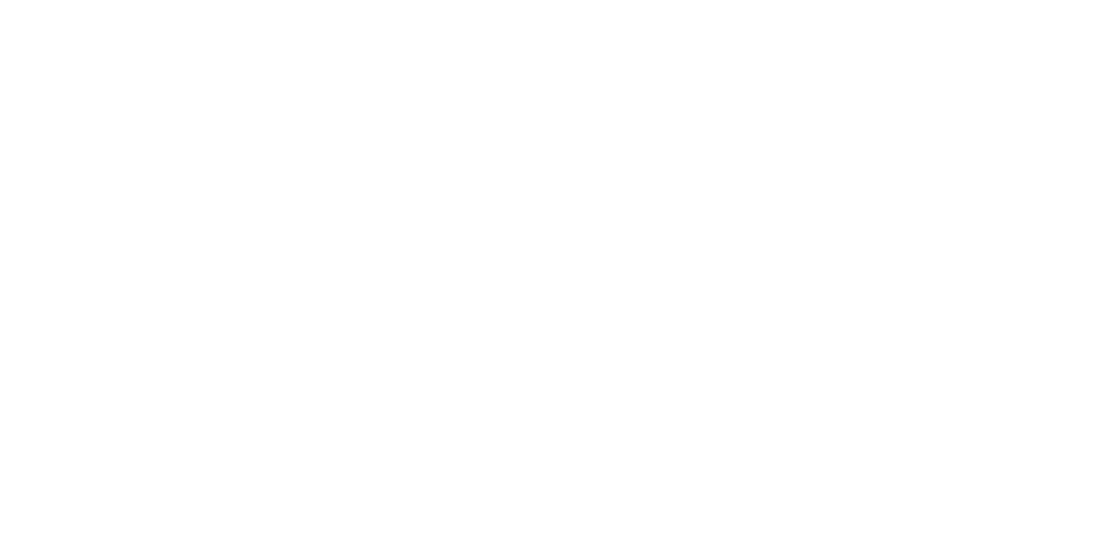 Lev Custom Merch